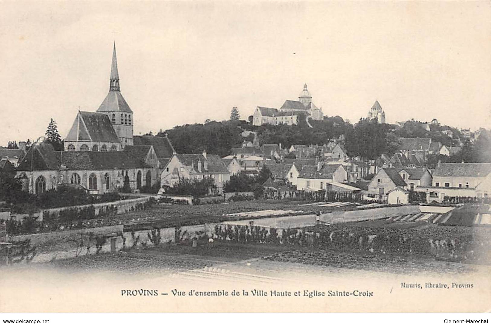 PROVINS - Vue D'ensemble De La Ville Haute Et Eglise Sainte Croix - Très Bon état - Provins