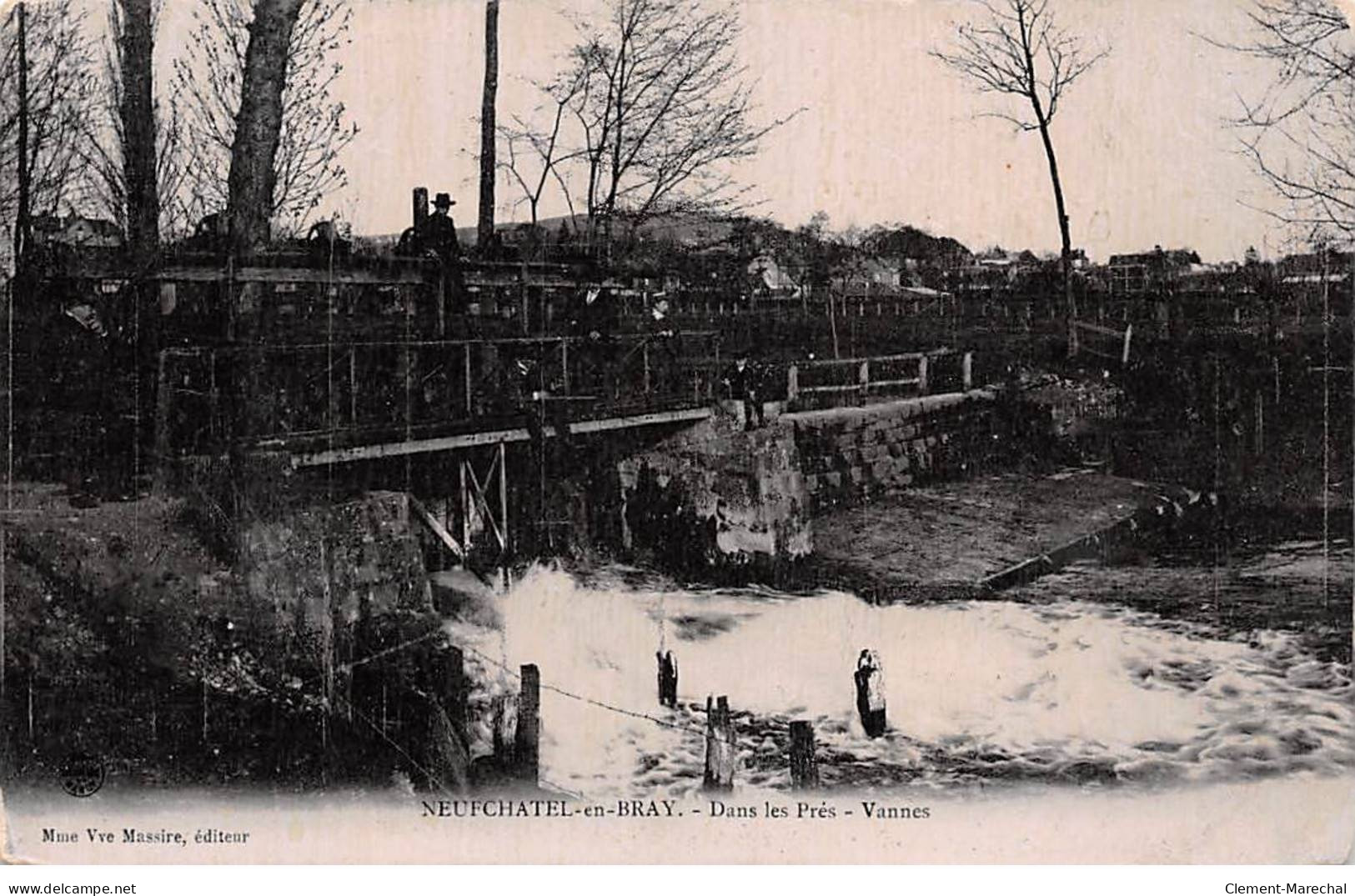 NEUFCHATEL EN BRAY - Dans Les Prés - Vannes - état - Neufchâtel En Bray