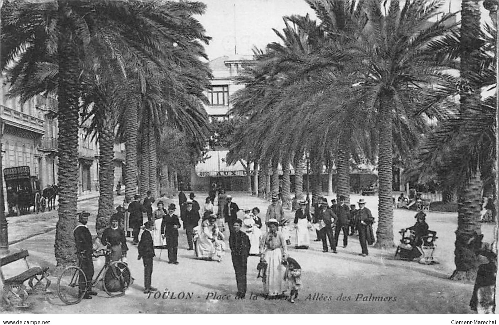 TOULON - Allée Des Palmiers - Très Bon état - Toulon