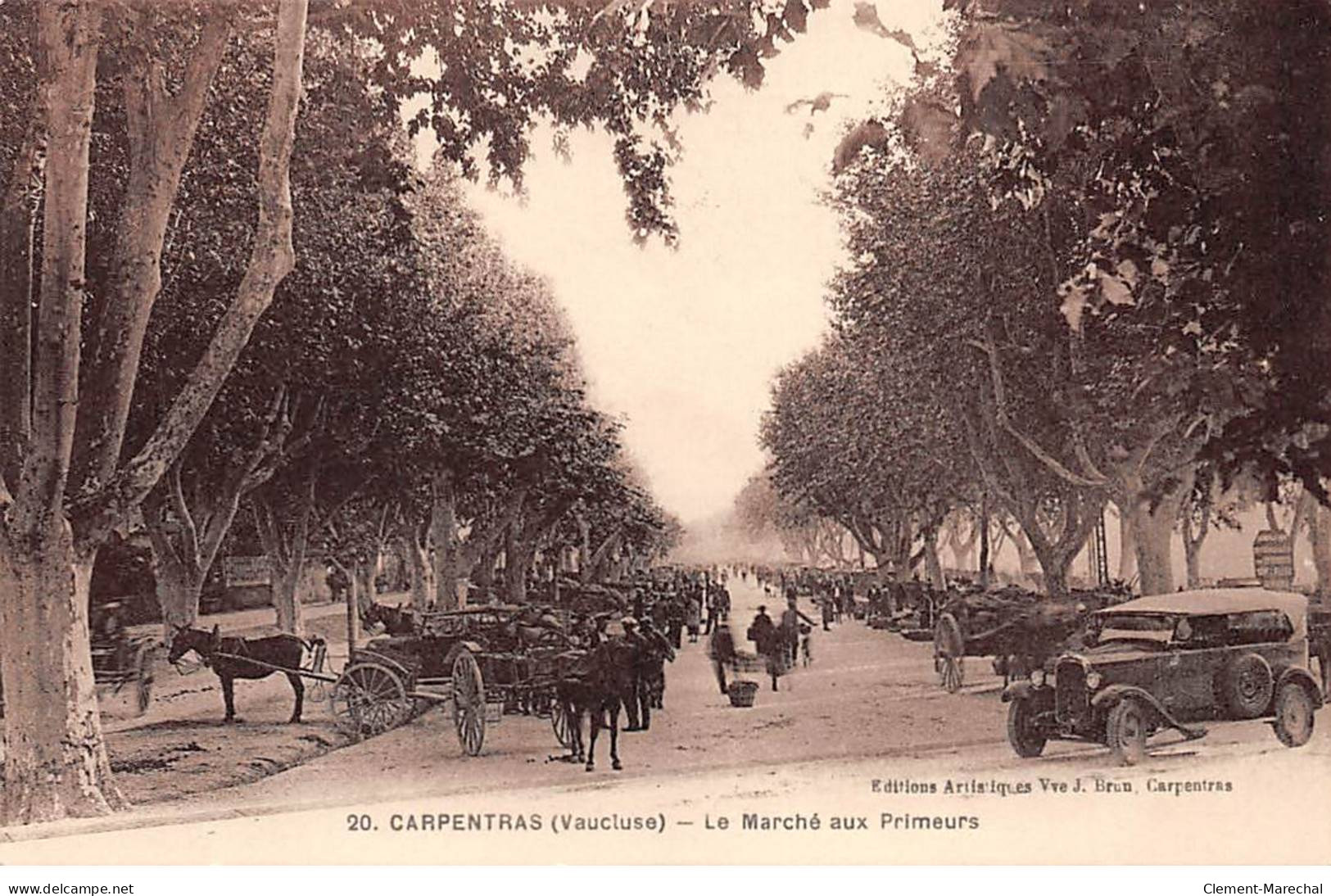 CARPENTRAS - Le Marché Aux Primeurs - Très Bon état - Carpentras