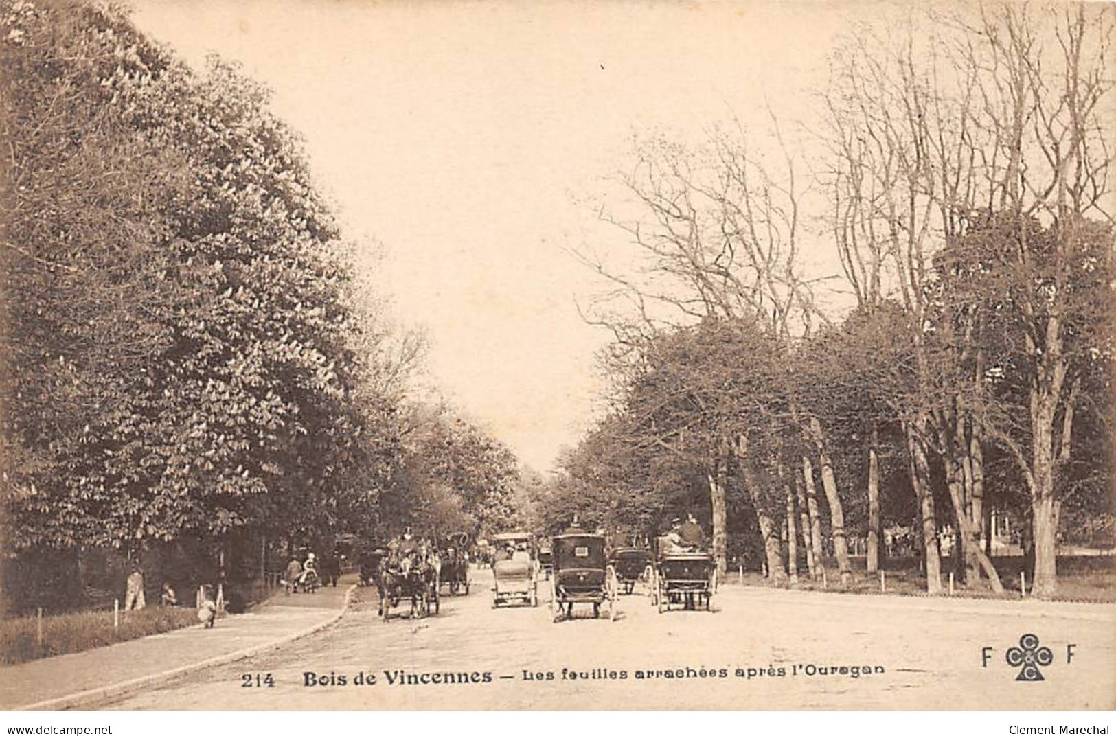 Bois De VNCENNES - Les Feuilles Arrachées Après L'Ouragan - F. F.  - Très Bon état - Vincennes