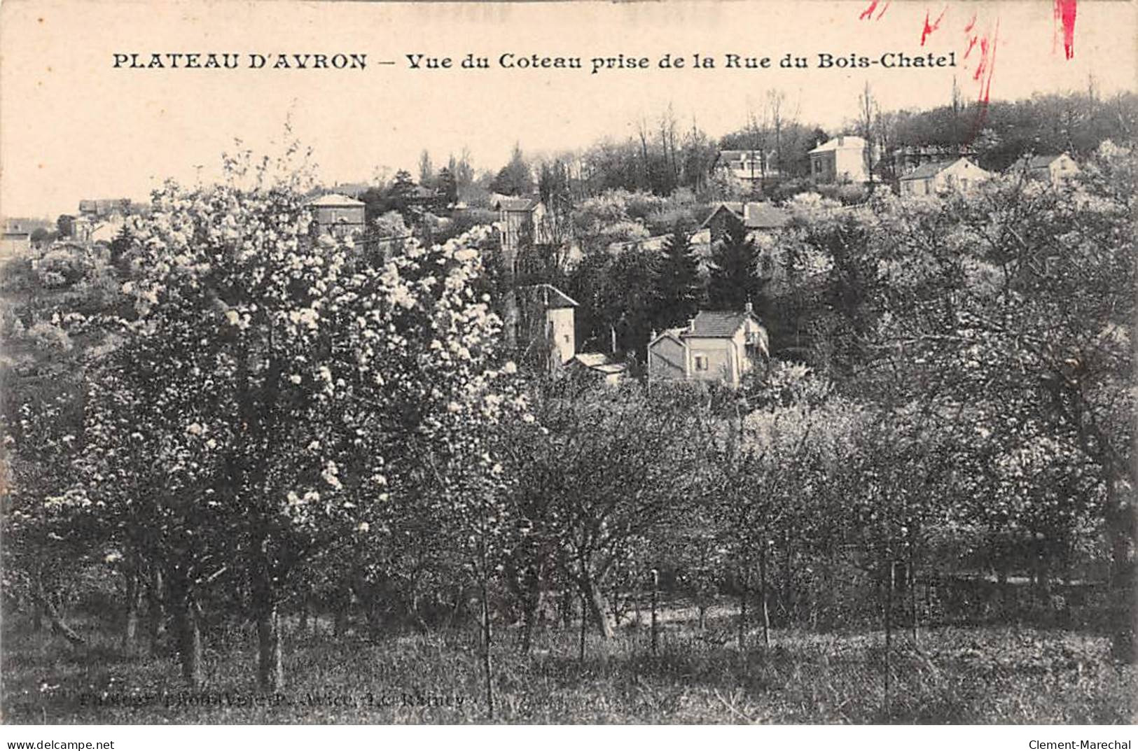 PLATEAU D'AVRON - Vue Du Coteau Prise De La Rue Du Bois Chalet - Très Bon état - Andere & Zonder Classificatie