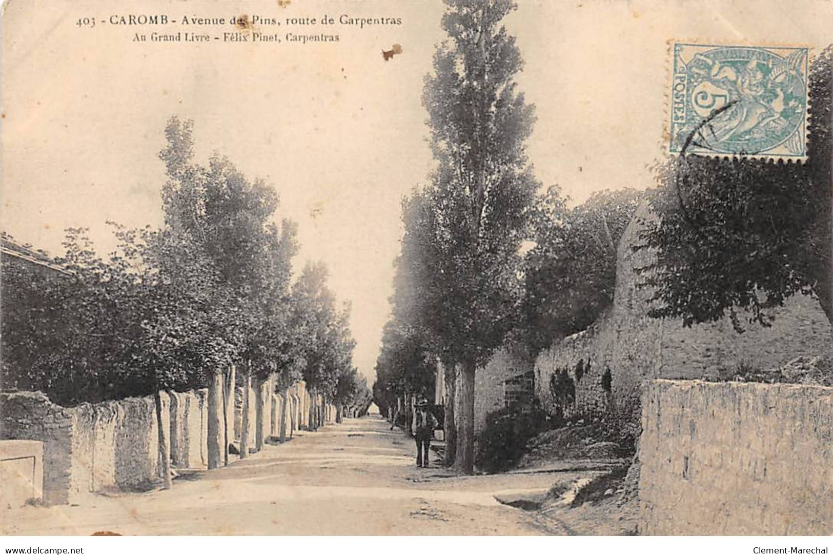 CAROMB - Avenue Des Pins Route De Carpentras - Très Bon état - Autres & Non Classés