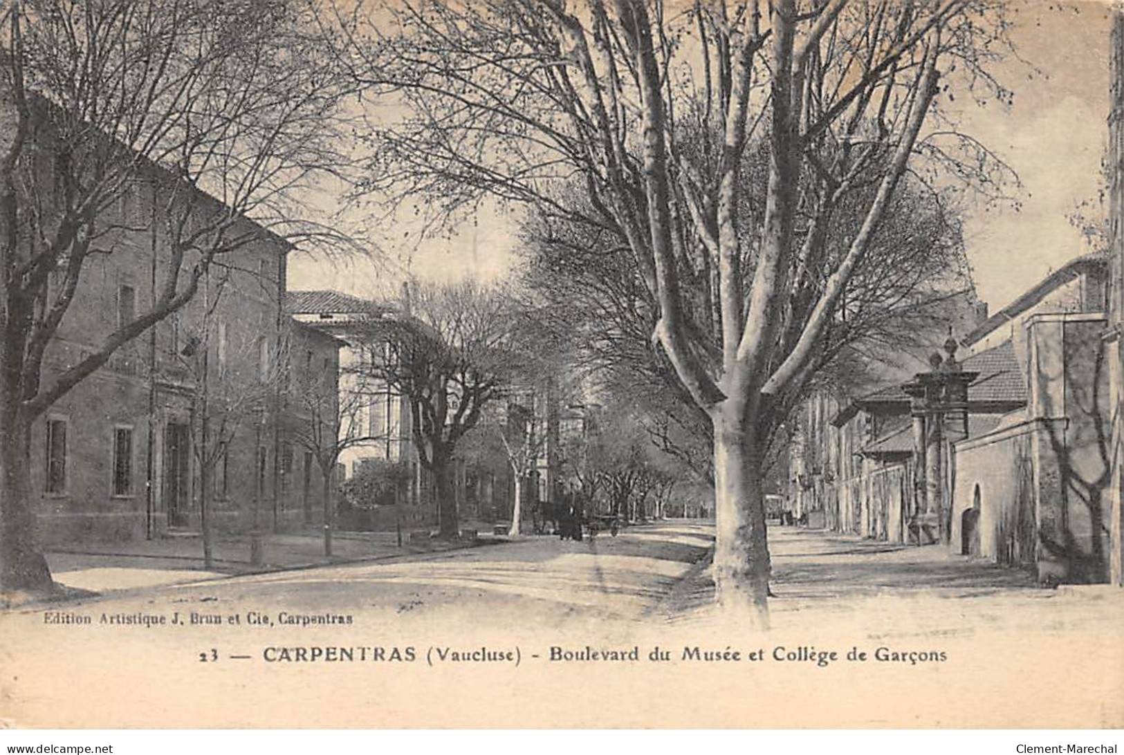 CARPENTRAS - Boulevard Du Musée Et Collège De Garçons - Très Bon état - Carpentras