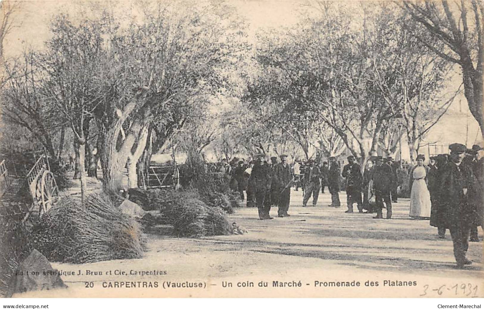 CARPENTRAS - Un Coin Du Marché - Promenade Des Platanes - Très Bon état - Carpentras