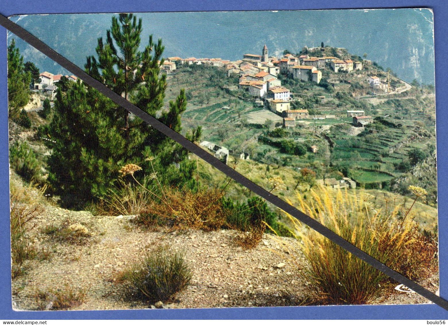 lots en vrac ( Alpes Maritimes) -  50  CARTES POSTALES-  CPA-CPSM-CPM-du  (06/ Alpes Maritime )- écrites ou Pas.