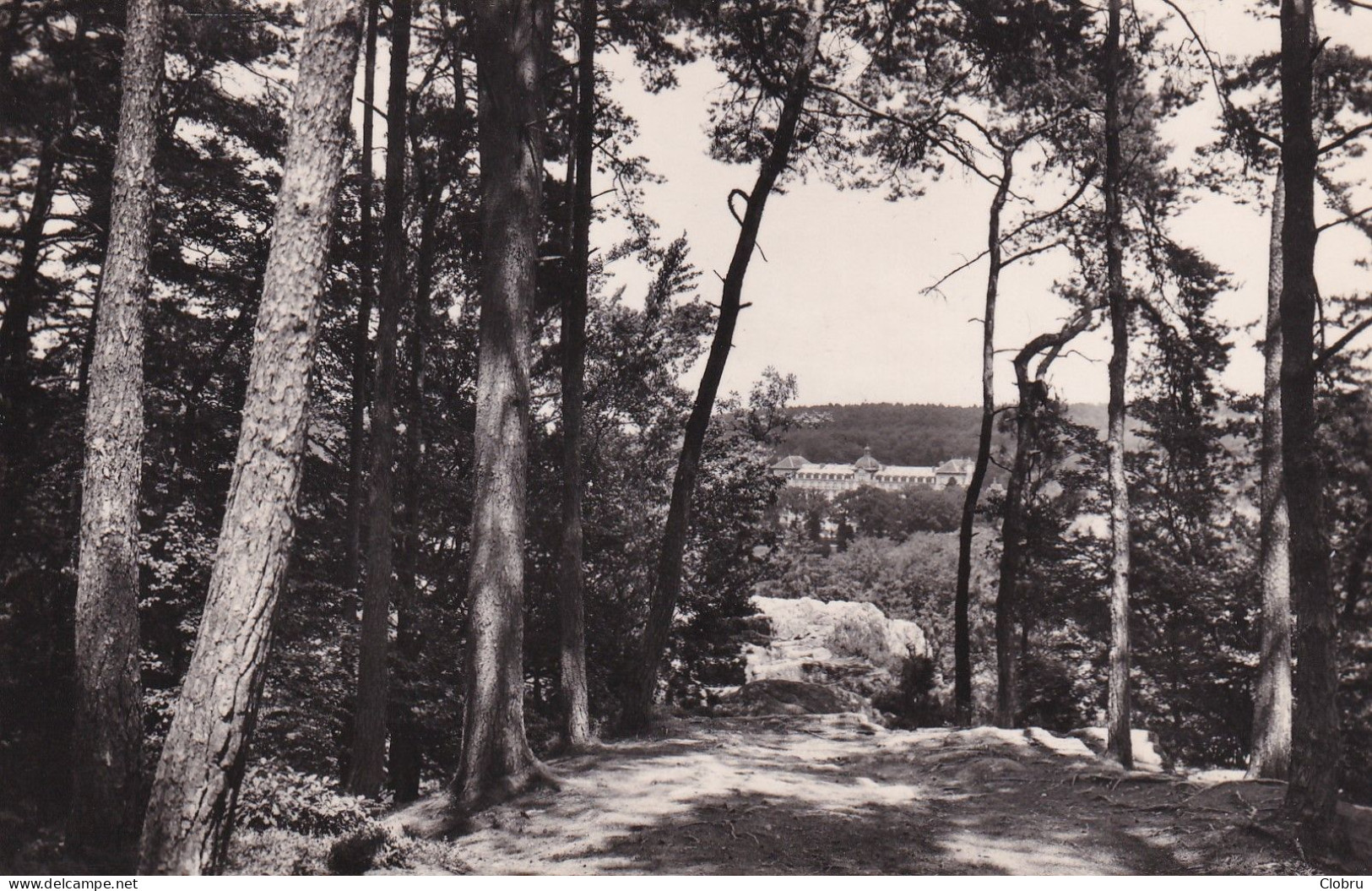 61, Bagnoles De L’Orne, Vue Prise Du Roc Au Chien - Bagnoles De L'Orne