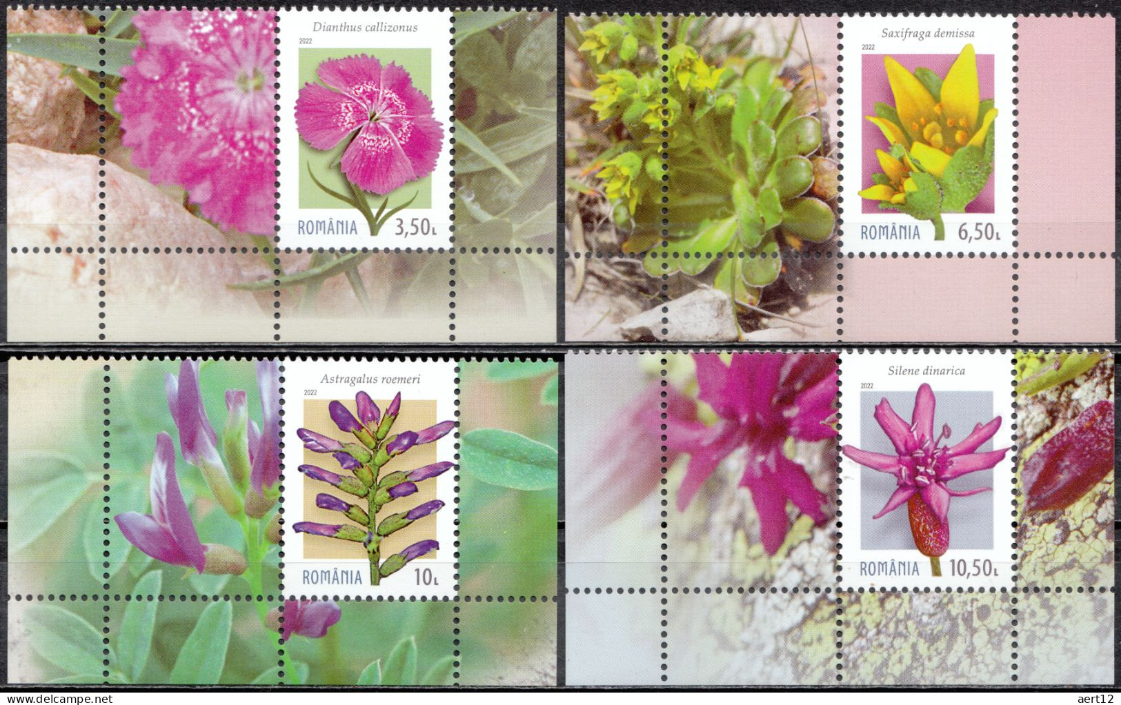 2022, Romania, Endemic Plants In Carpathian Mountains, Flowers, Plants (Flora), 4 Stamps+Label M2, MNH(**), LPMP 2382 - Neufs
