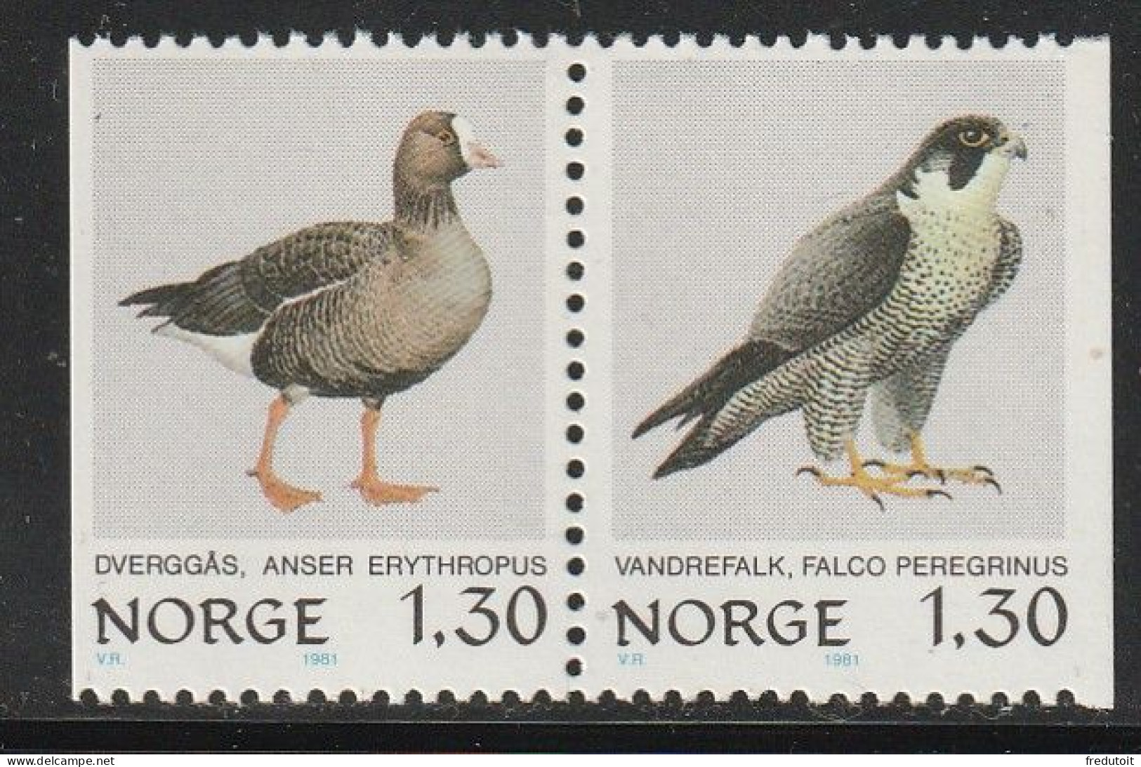 NORVEGE - N°783a ** (1981) Oiseaux - Unused Stamps