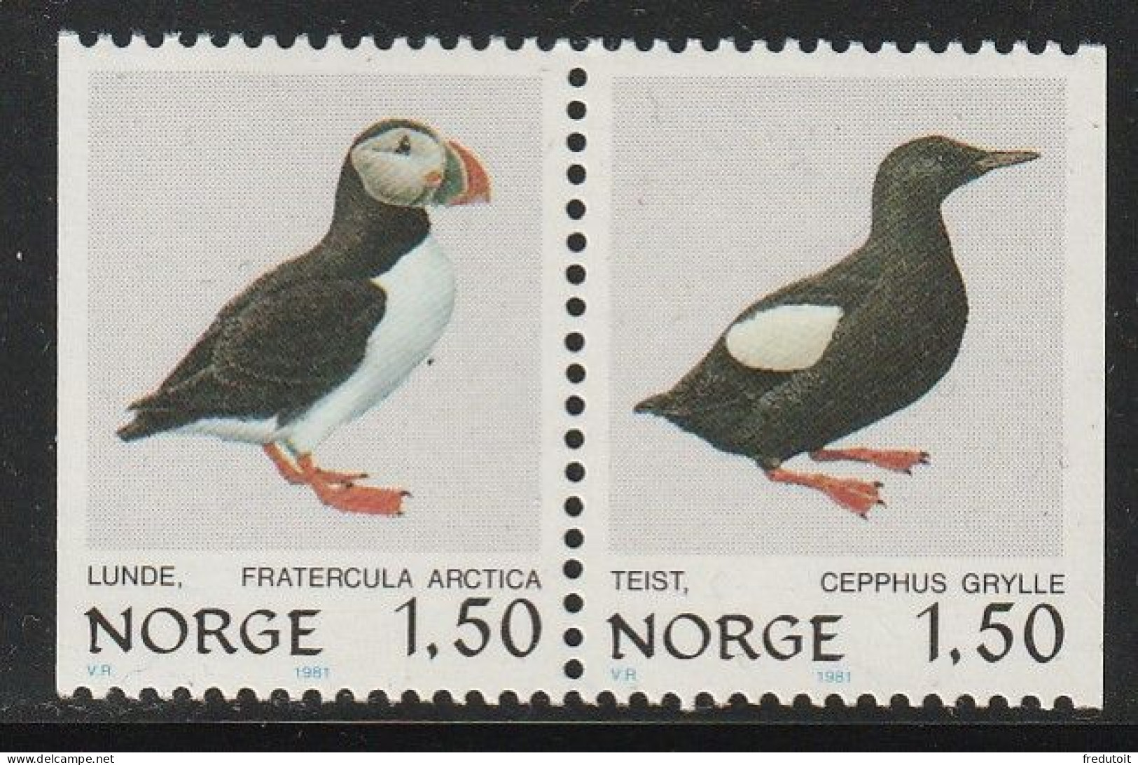 NORVEGE - N°785a ** (1981) Oiseaux - Unused Stamps