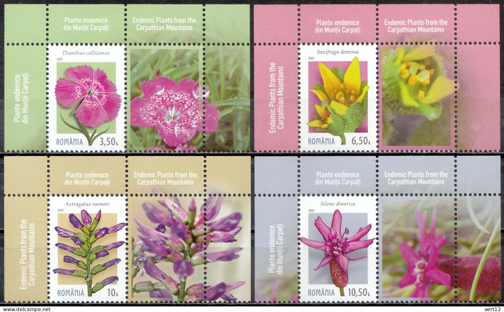 2022, Romania, Endemic Plants In Carpathian Mountains, Flowers, Plants (Flora), 4 Stamps+Label M1, MNH(**), LPMP 2382 - Unused Stamps