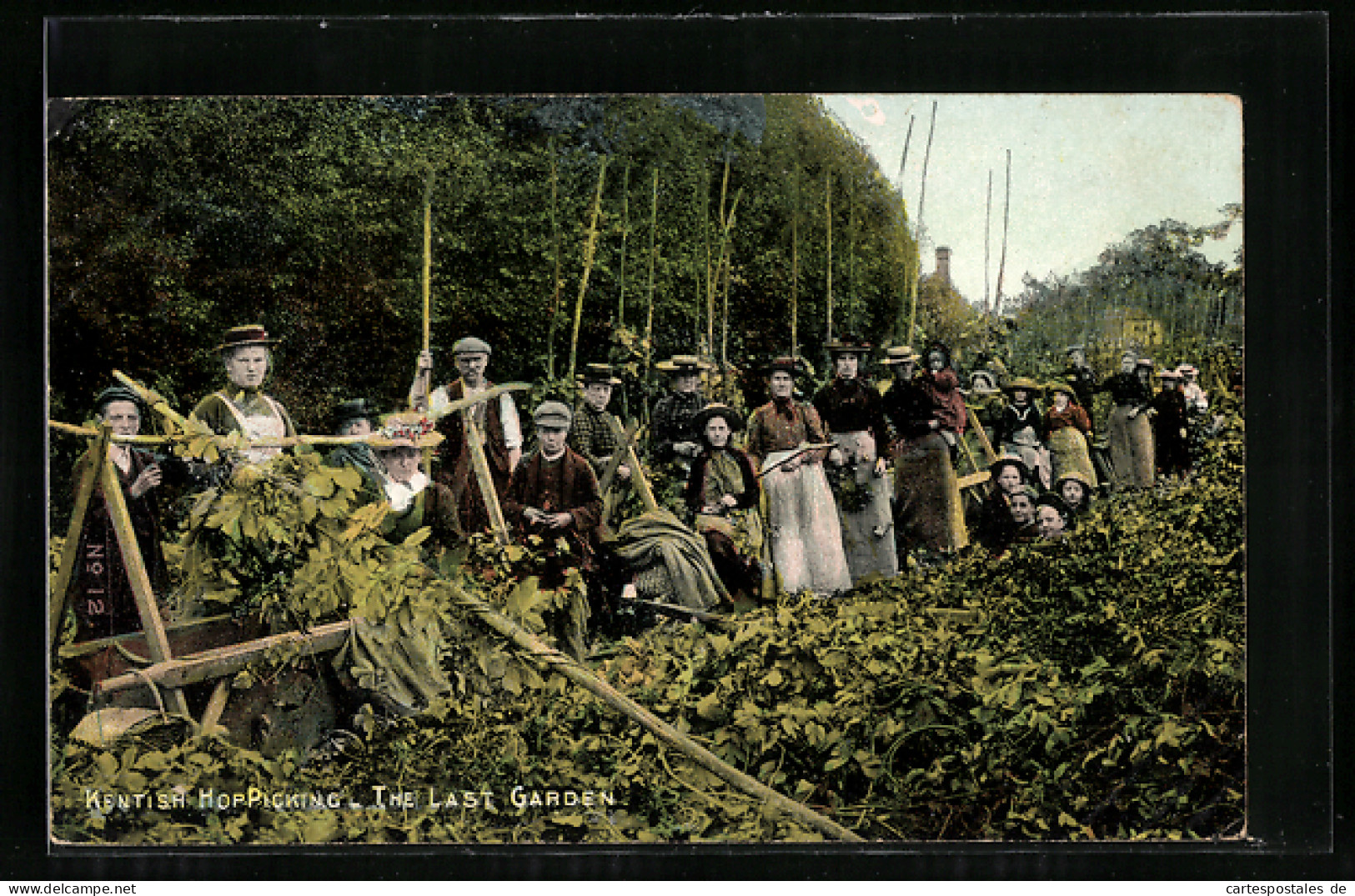 AK Kentish Hop-Picking, The Last Garden  - Cultivation