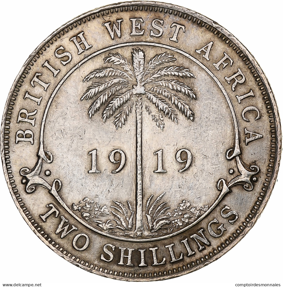 Afrique Occidentale Britannique, George V, 2 Shillings, 1919, Heaton, Argent - Colonies