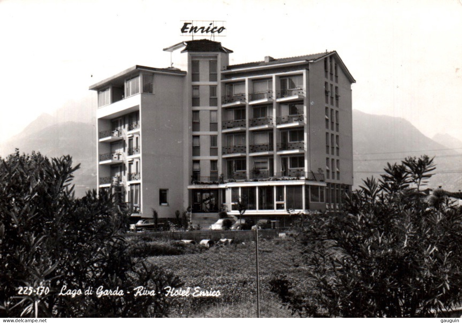 CPSM - Lac De GARDE - RIVA - Hotel ENRICO - Edition Ghedina - Autres & Non Classés