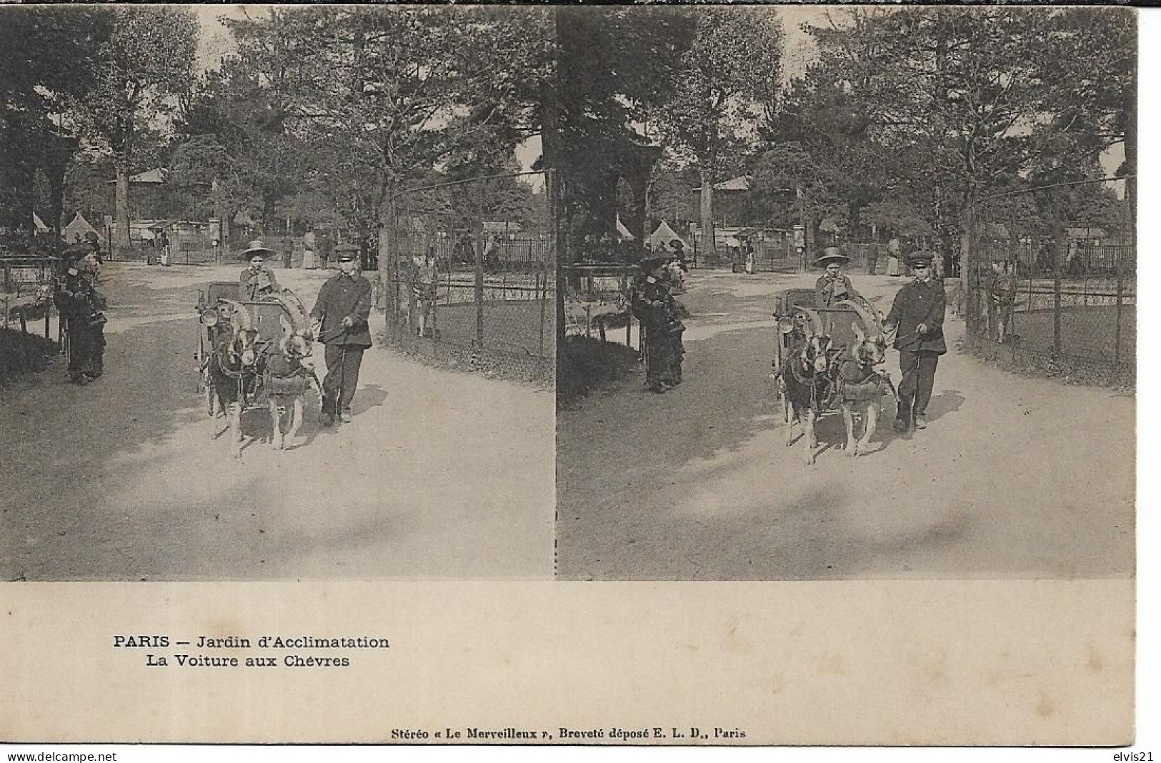 Carte Stéréoscopique PARIS Jardin D' Acclimatation. La Voiture Aux Chèvres - Stereoscope Cards