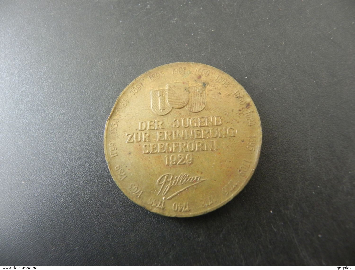 Medaille Medal - Schweiz Suisse Switzerland - Zürichsee Der Jugend Zur Erinnerung Seegfrörni 1929 - Other & Unclassified