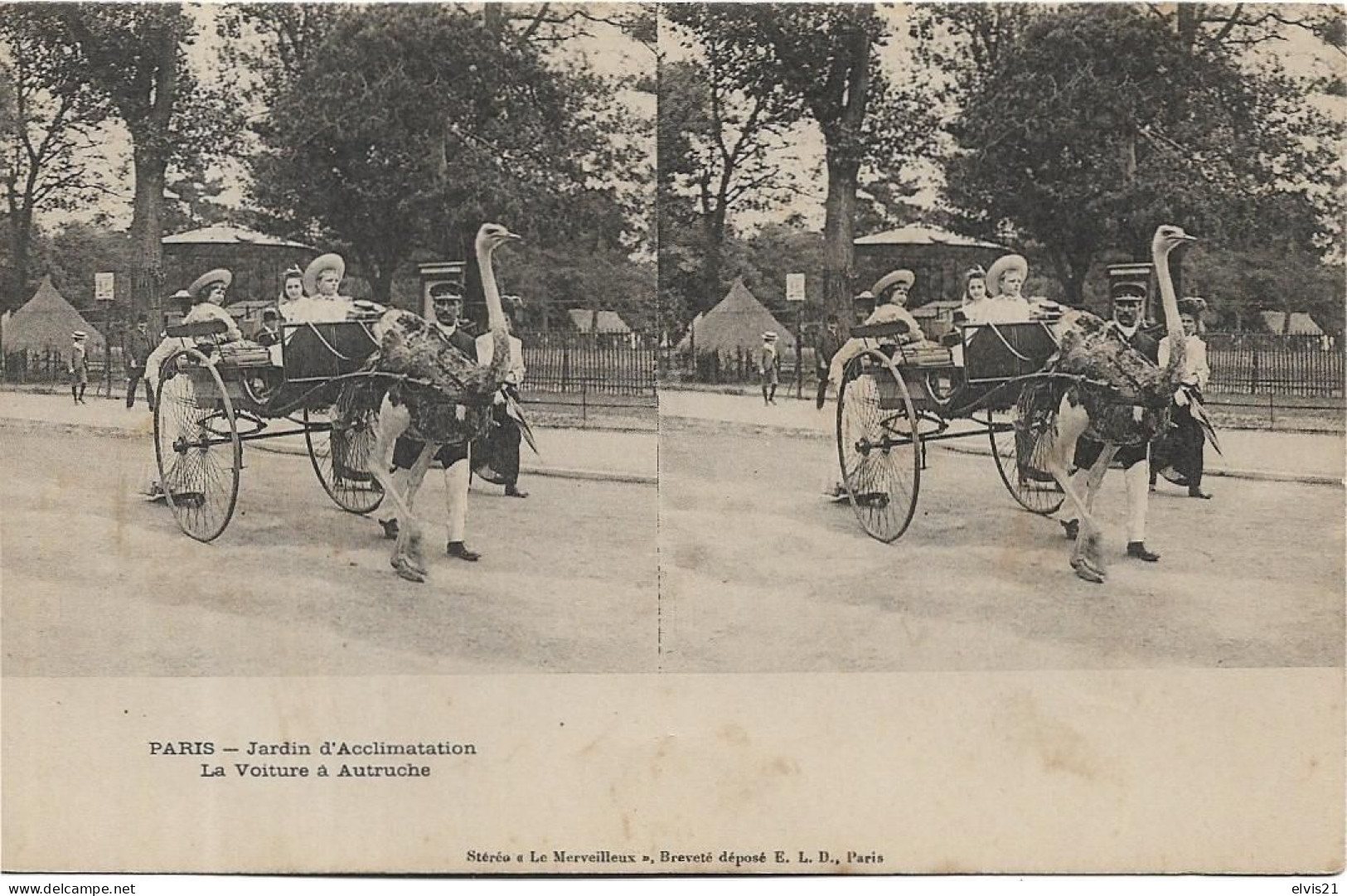 Carte Stéréoscopique PARIS Jardin D' Acclimatation. La Voiture à Autruche - Cartes Stéréoscopiques