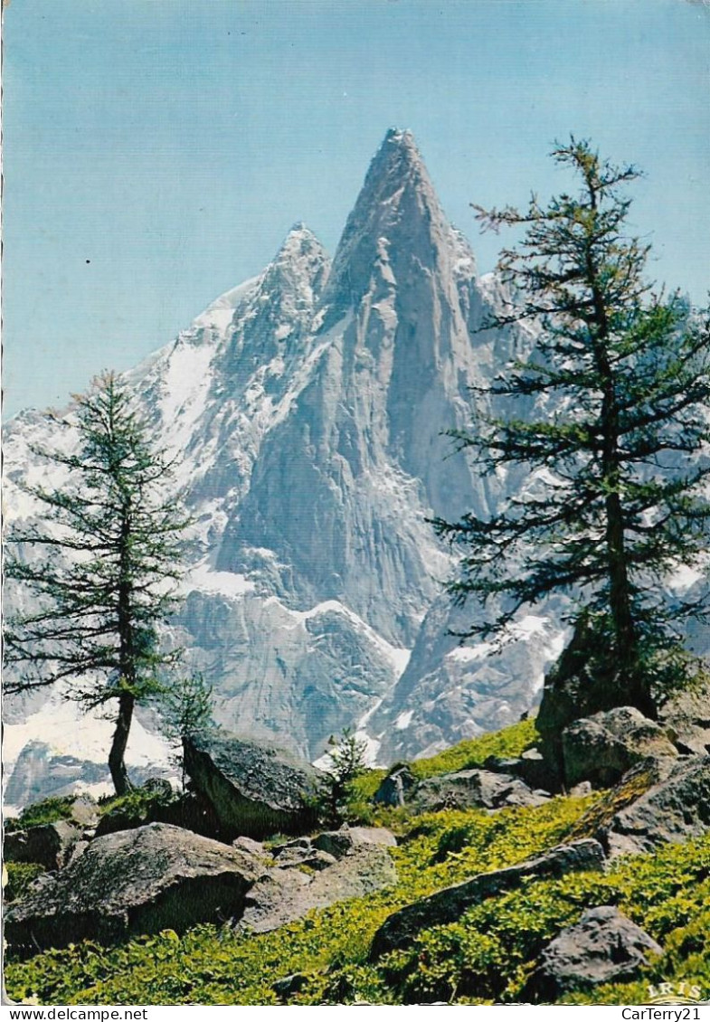 74 CHAMONIX - MT-BLANC. LES DRUS ET L'AIGUILLE VERTE DEPUIS LE MONTENVERS. 1963. - Chamonix-Mont-Blanc