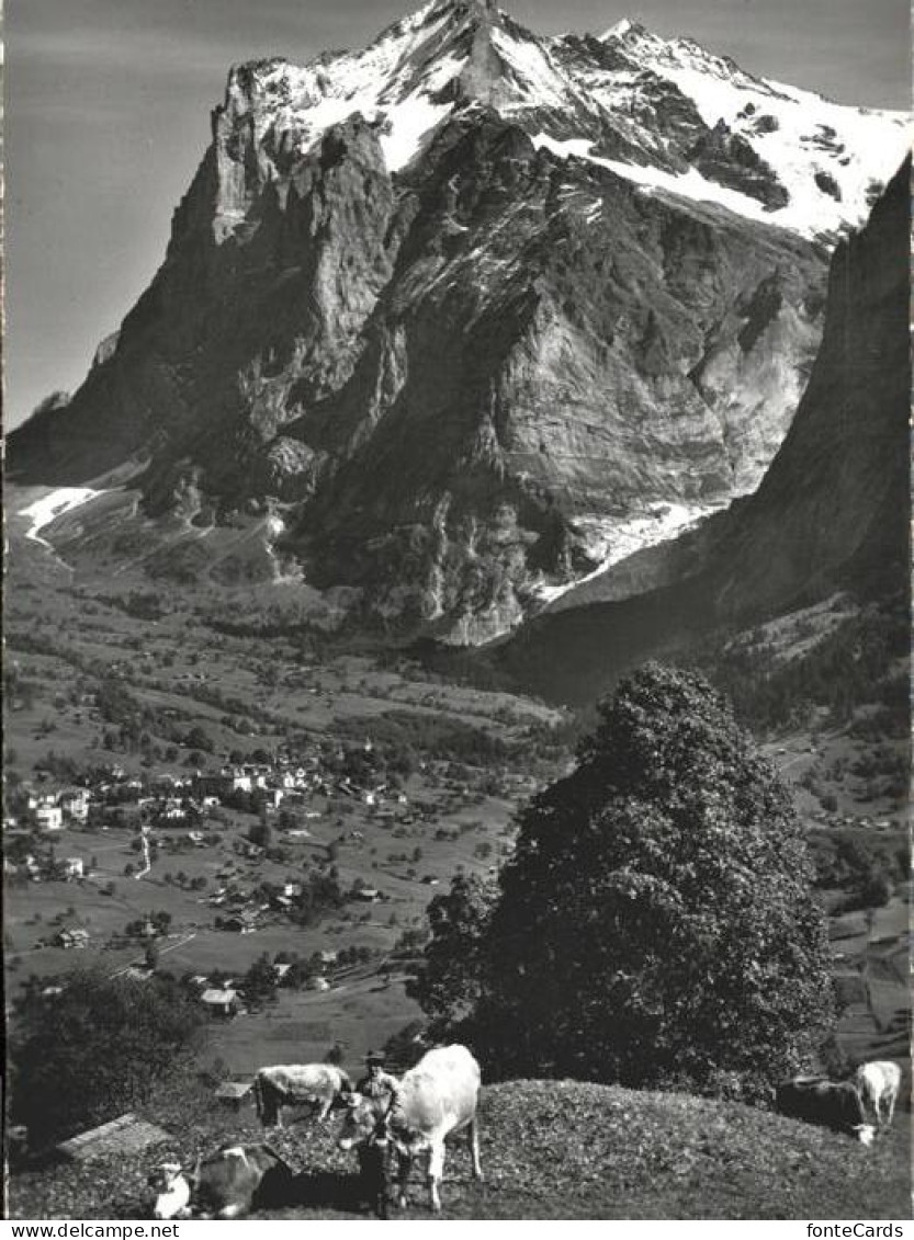 11070886 Grindelwald Wetterhorn - Autres & Non Classés