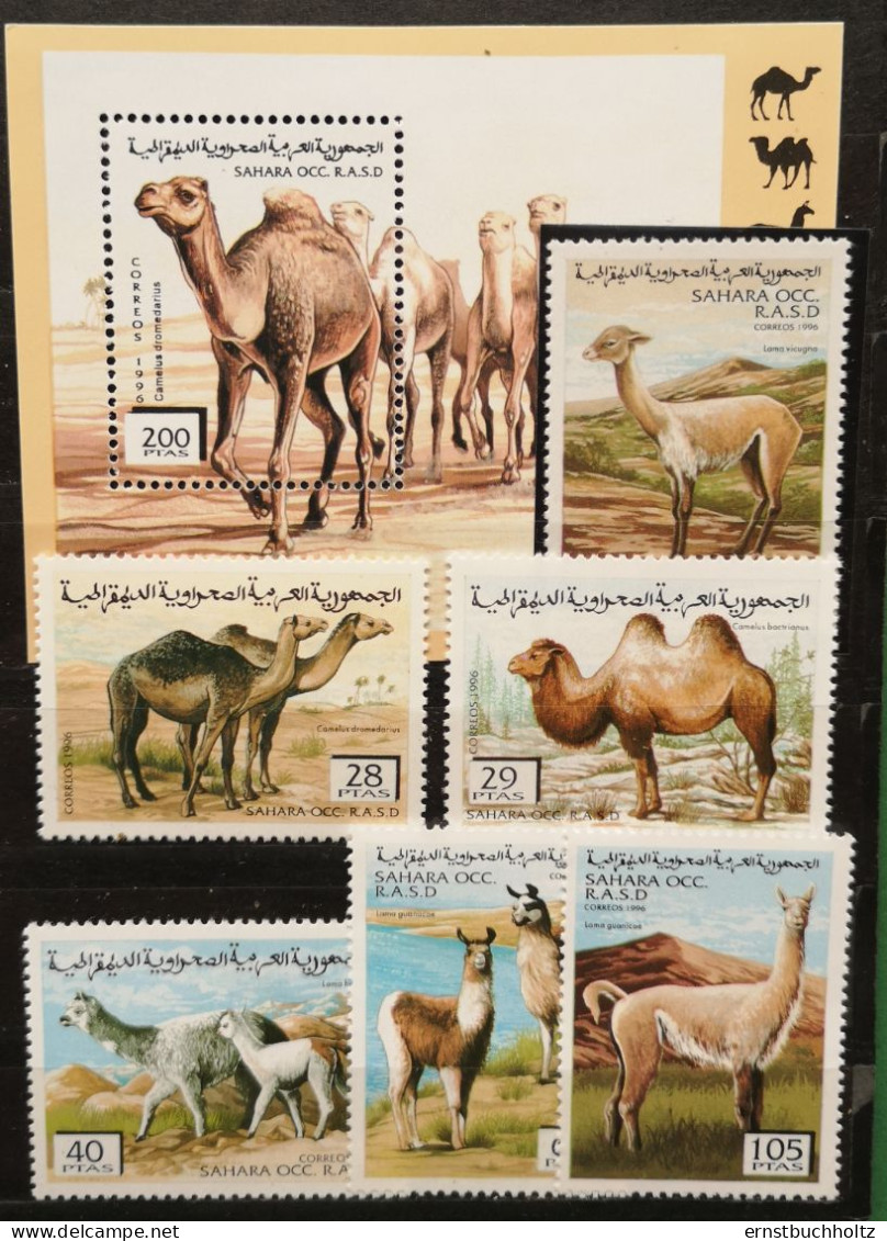 Sahara Occidental R.S.A.D. 1996 Kamelartige 6v** + Block Dromedar** - Autres - Afrique