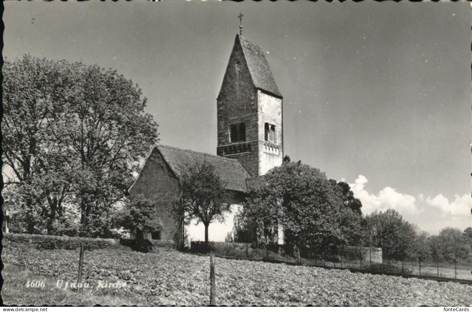 11068607 Insel_Ufnau Kirche  - Autres & Non Classés