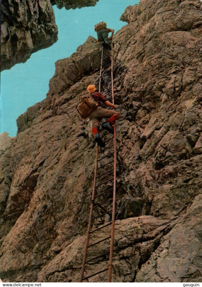 CPM - DOLOMITI Di BRENTA - Via Delle Bocchette Sentier ...  (Alpinistes) - Edition Kodak (affranchissement TP) - Other & Unclassified
