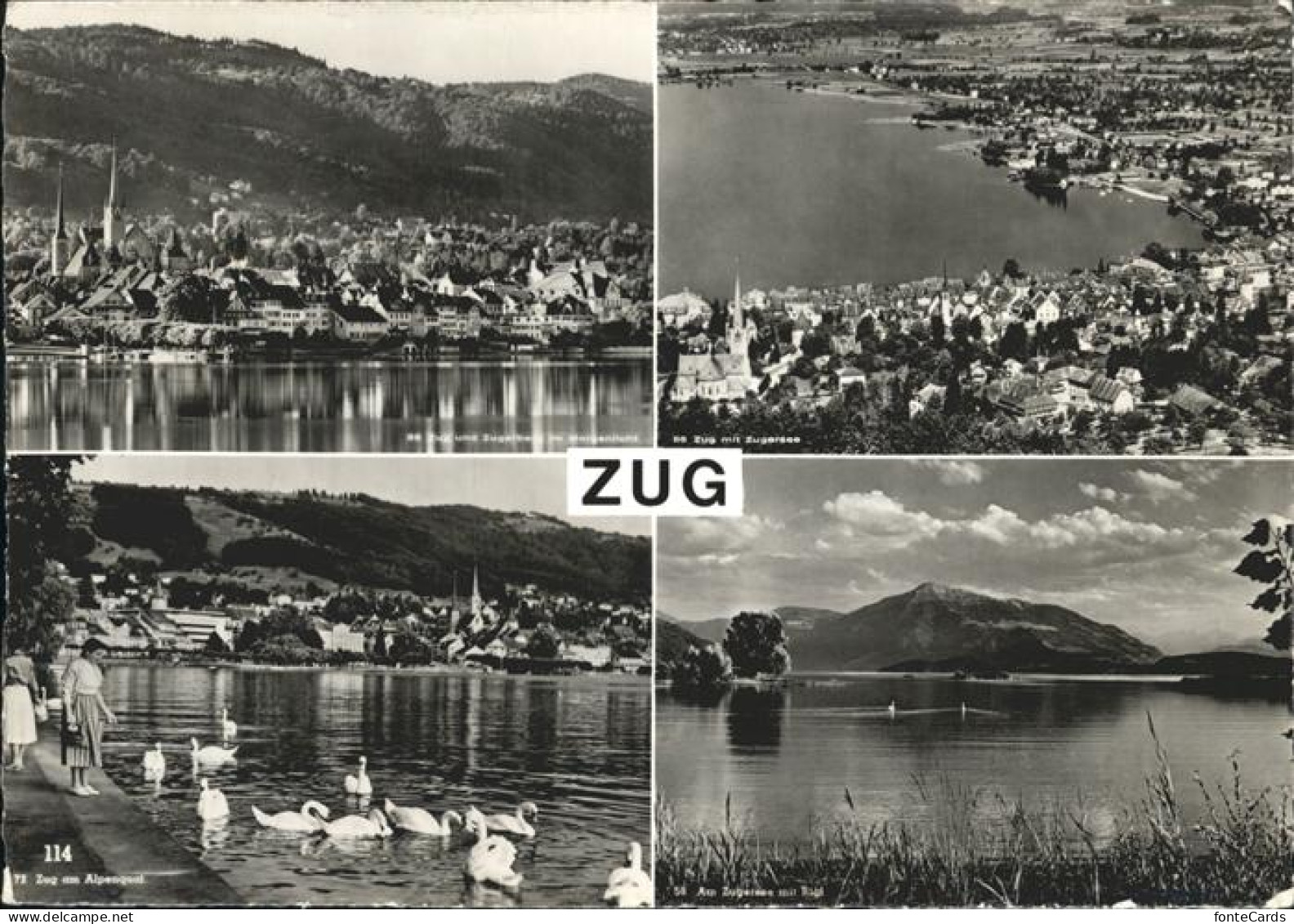11061288 Zug_ZG Zugersee Schwan  - Autres & Non Classés