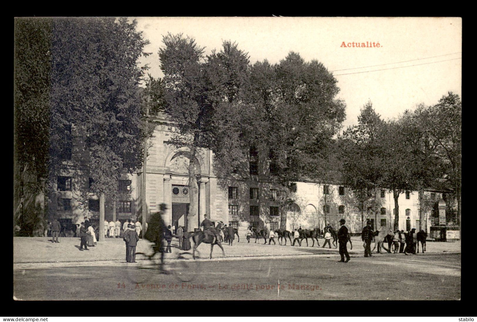 78 - VERSAILLES - ACTUALITE - AVENUE DE PARIS - LE DEFILE POUR LE MANEGE - Versailles