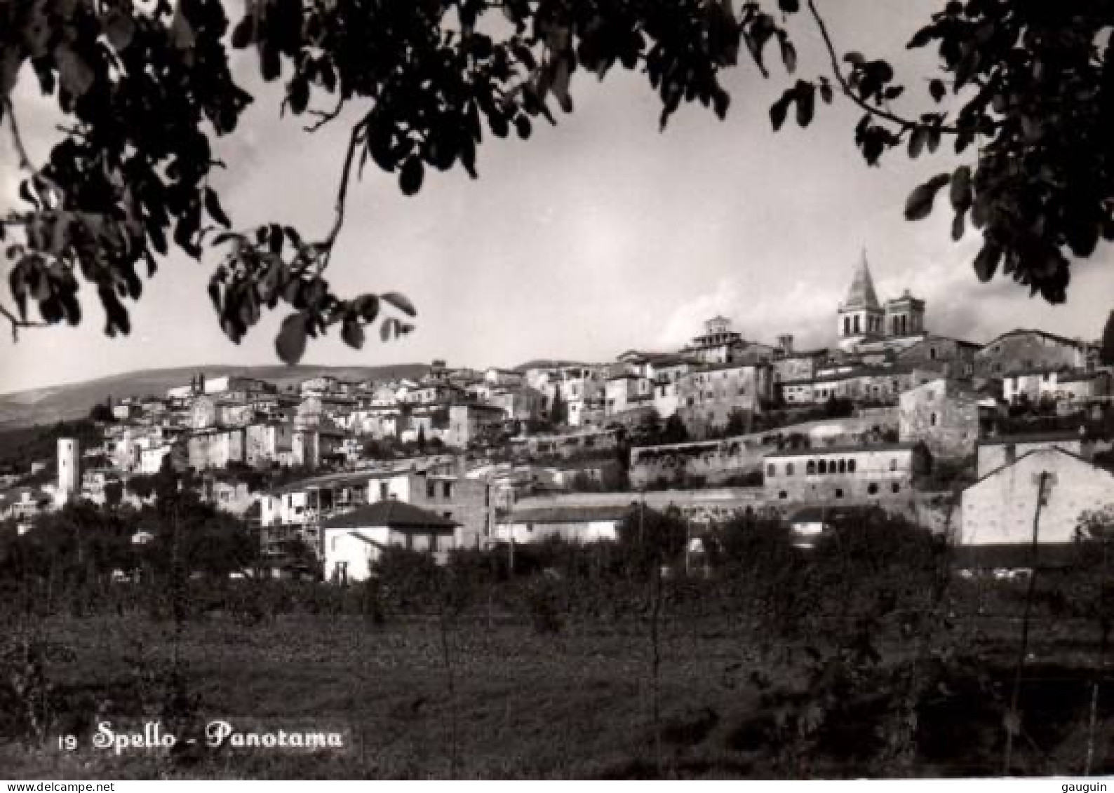 CPSM - SPELLO - Panorama ...Edition Morosini Gemira - Other & Unclassified