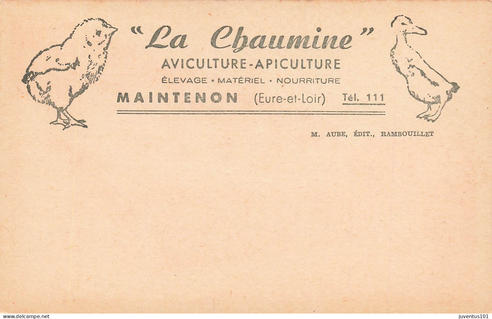 CPA Maintenon-La Chaumine-Aviculture-Apiculture-RARE      L2927 - Maintenon
