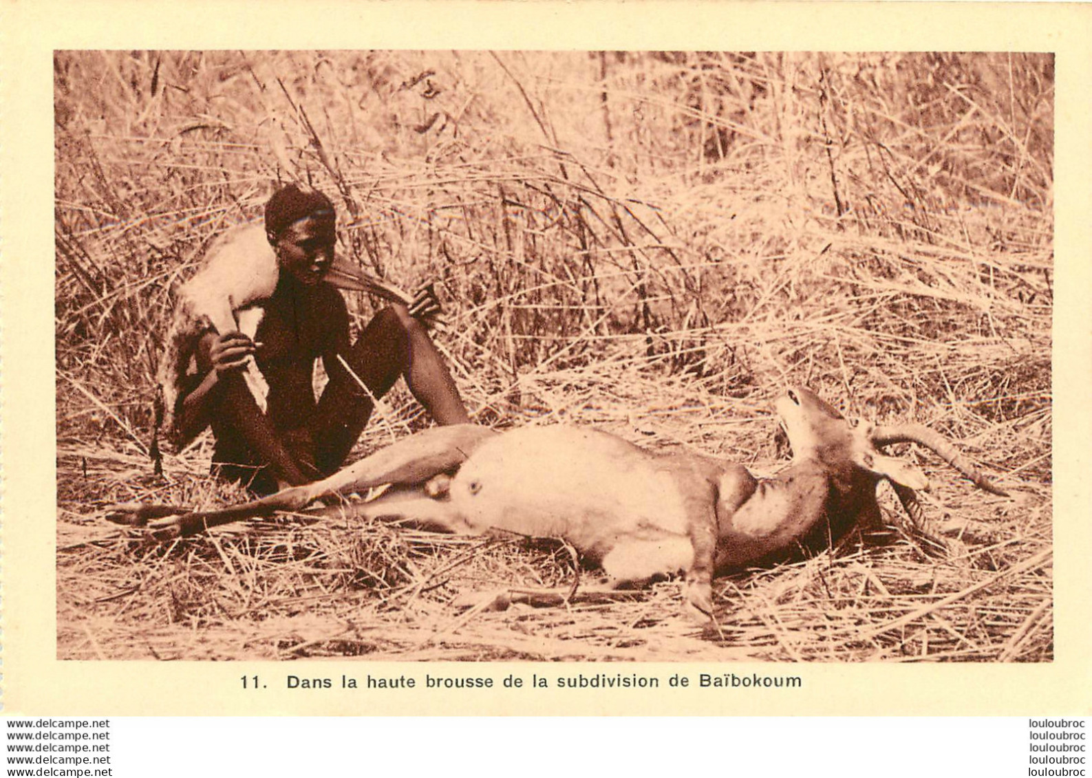 DANS LA HAUTE BROUSSE DE LA SUBDIVISION DE BAIBOKOUM  Ref2 - Tchad