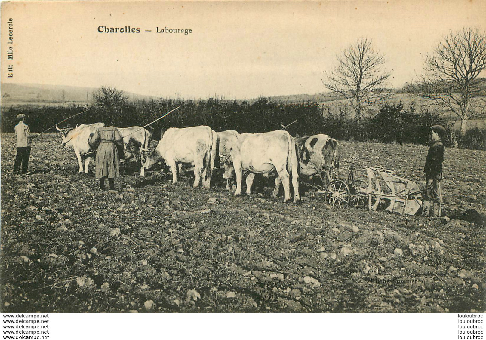 CHAROLLES LABOURAGE AGRICULTURE - Charolles