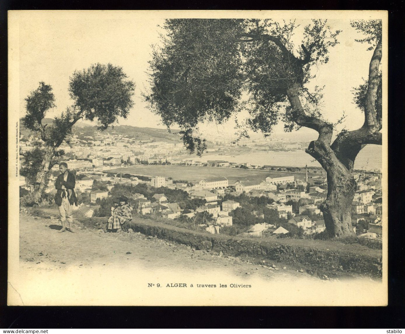 ALGERIE - ALGER - VUE GENERALE A TRAVERS LES OLIVIERS - CARTE TRES GRAND FORMAT 18 X 14 CM - Algiers