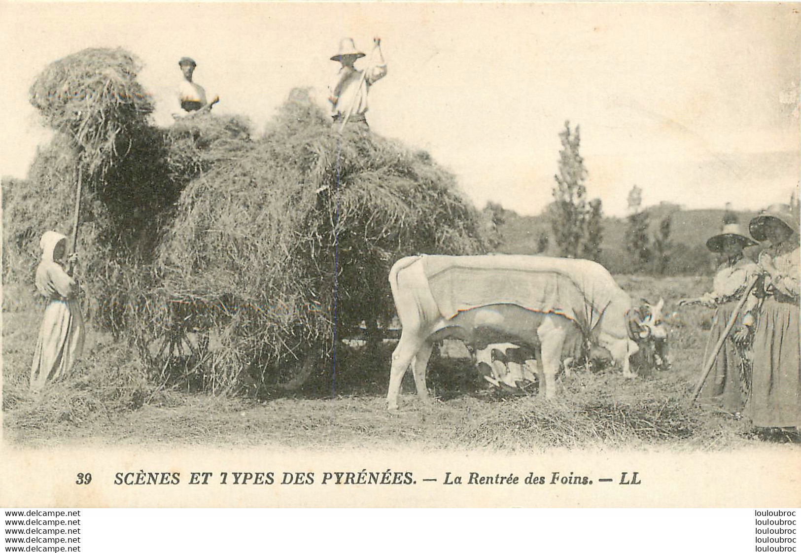 LA RENTREE DES FOINS SCENES ET TYPES DES PYRENEES - Cultures