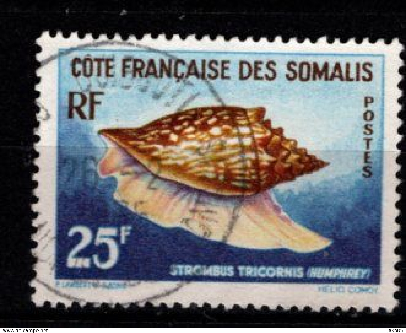 - COTE DES SOMALIES - 1962 - YT N°313 - Oblitéré - Coquillage - Oblitérés