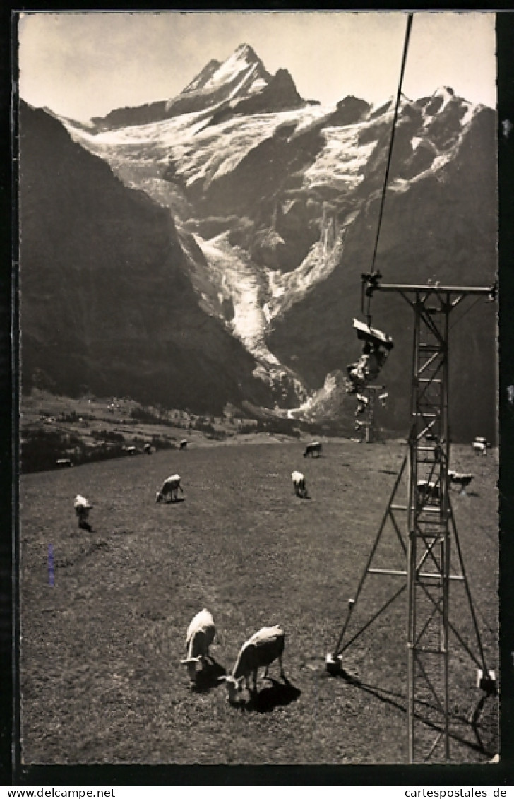 AK Grindelwald, Bergbahn Grindelwald-First Mit Ob. Gletscher  - Funiculaires