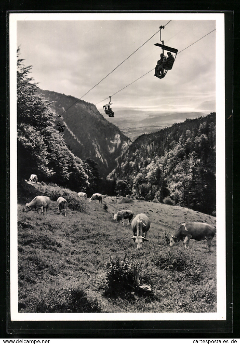 AK Weissenstein, Bergbahn Mit Blick Auf Das Seeland  - Funiculares