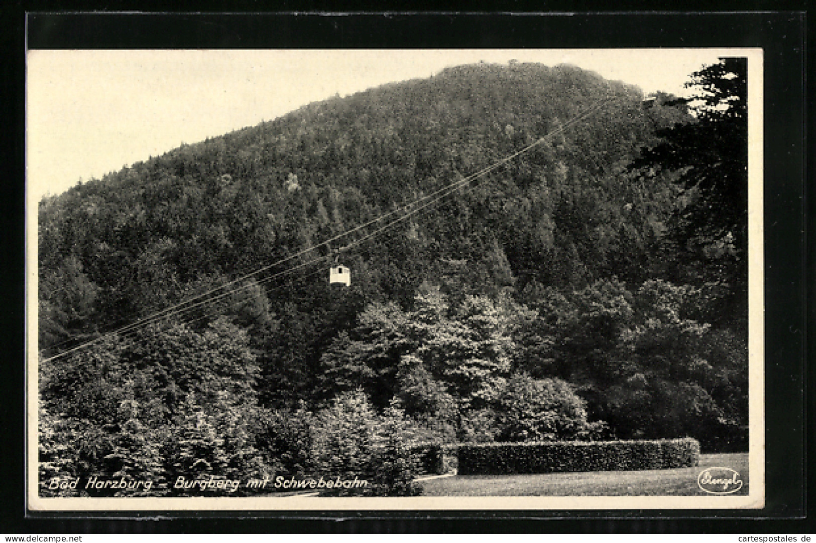 AK Bad Harzburg, Burgberg Mit Schwebebahn  - Funicular Railway