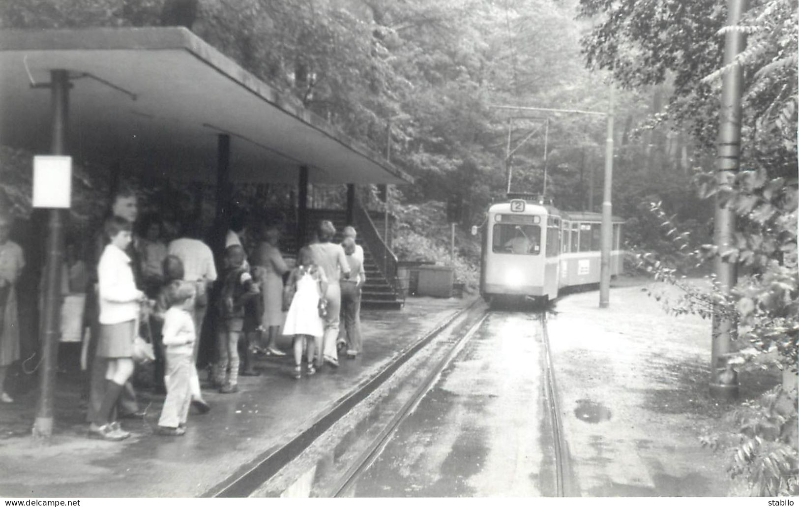 ALLEMAGNE - TRAMWAY - DUISBURG - Trains