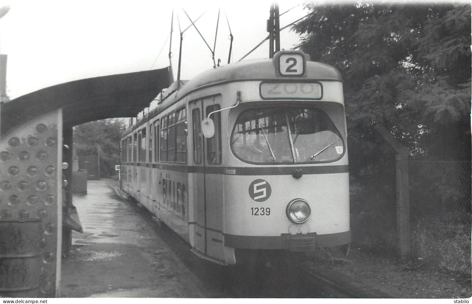 ALLEMAGNE - TRAMWAY - DUISBURG - Trains