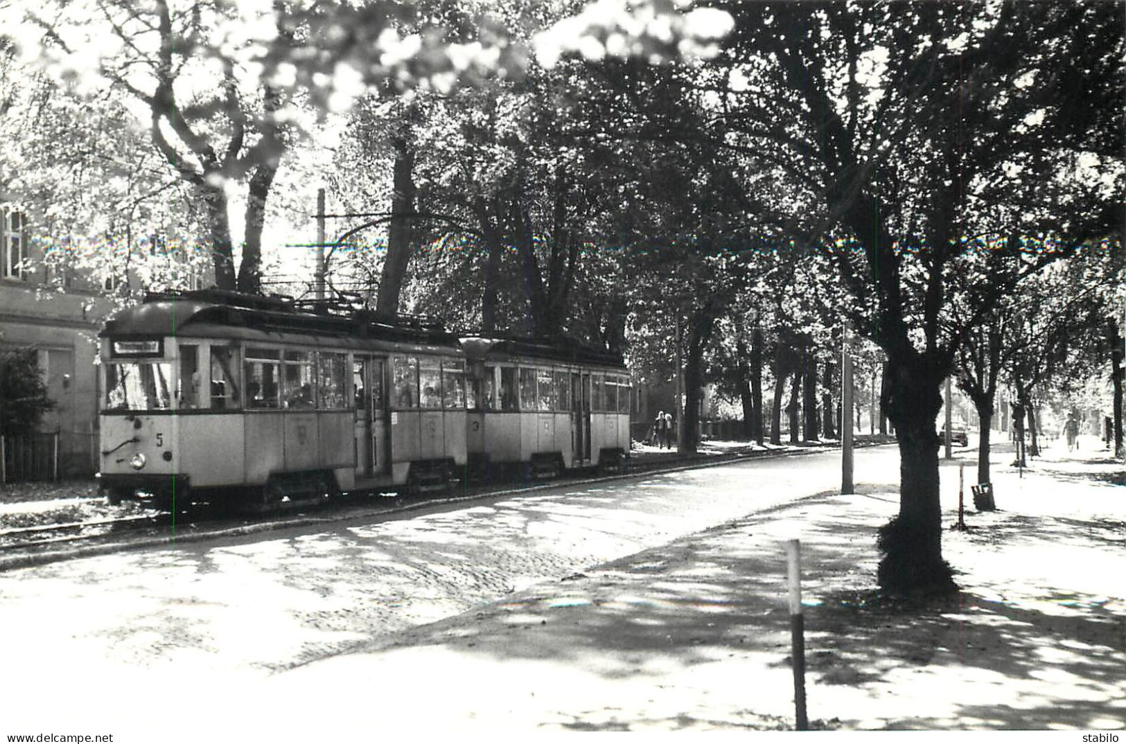 ALLEMAGNE - TRAMWAY - STRAUSBERG - Trains