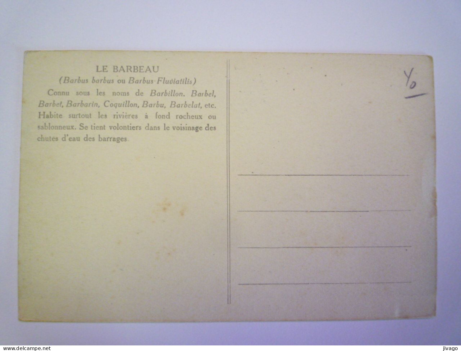 2024 - 1863  POISSON  :  LE BARBEAU   XXX - Poissons Et Crustacés