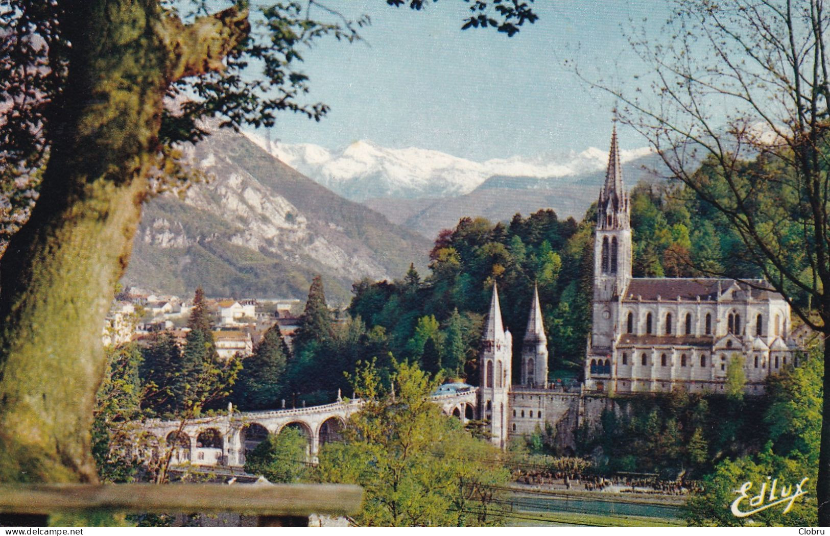 65, Lourdes, La Basilique - Lourdes
