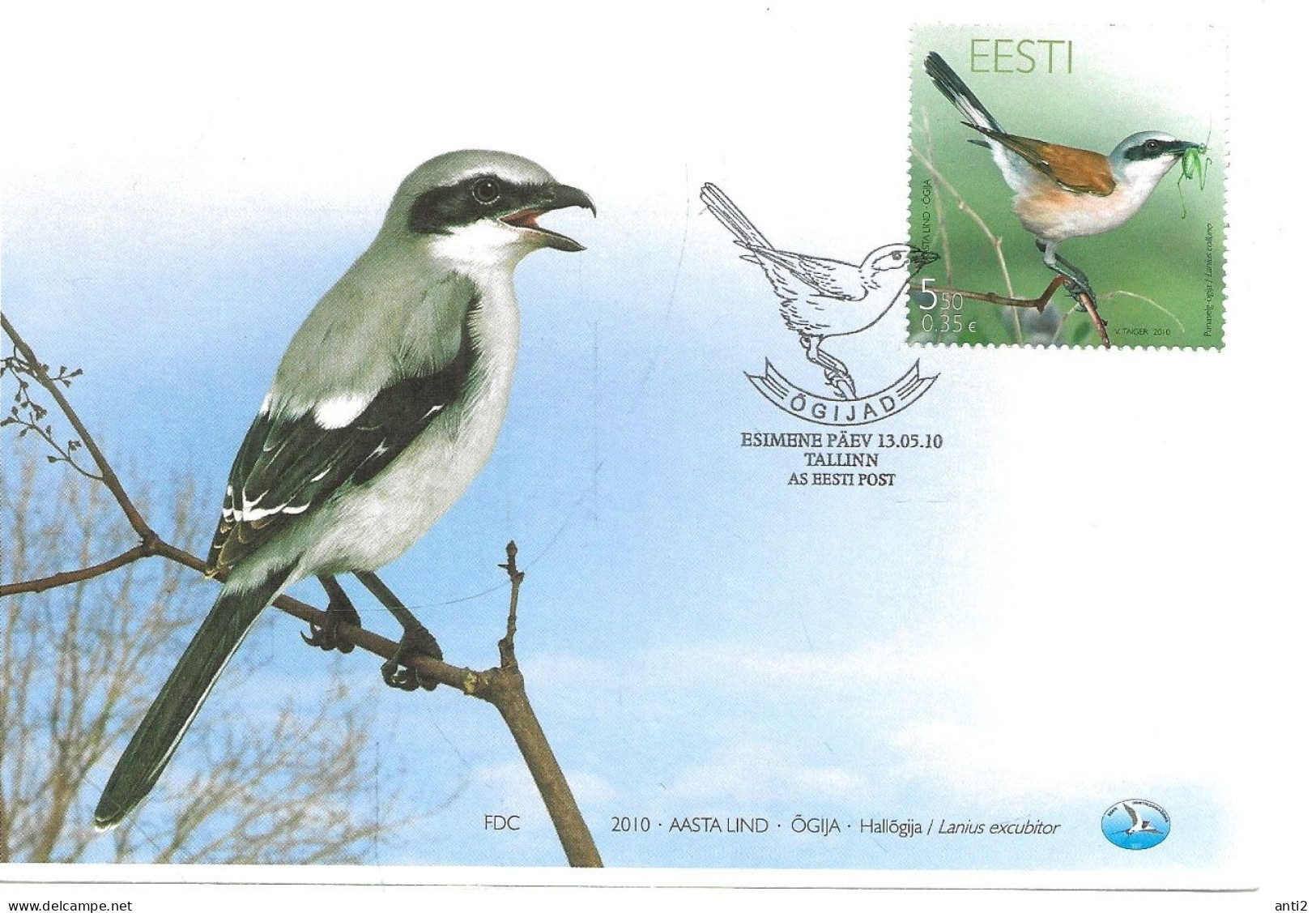 Estonia Eesti Estland 2010 Bird Of The Year. Red-backed Shrike (Lanius Collurio) Mi 666  FDC - Estonie