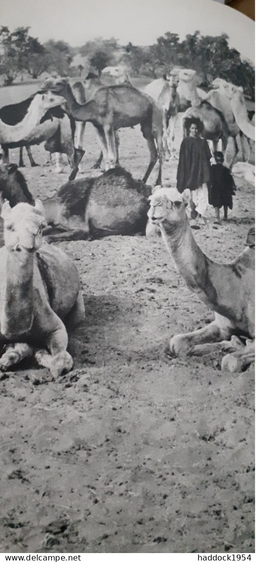 HASSAN L'enfant Du Desert DOMINIQUE DARBOIS Nathan 1961 - Other & Unclassified