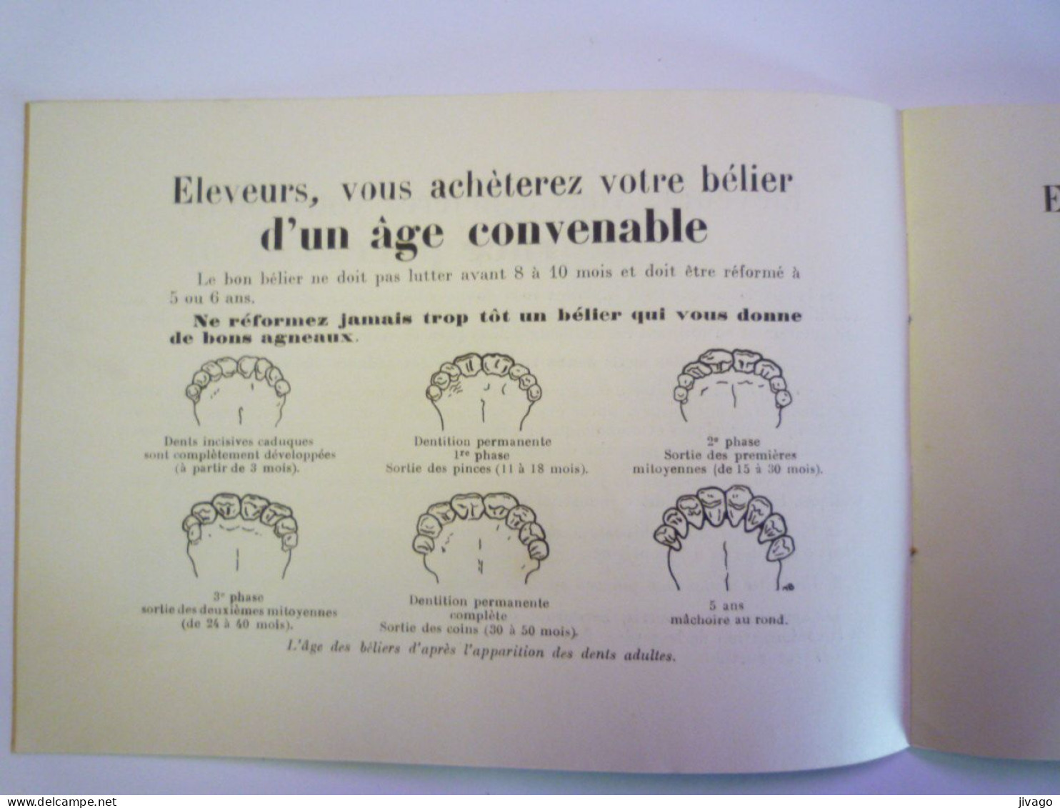 2024 - 1868  " LE CHOIX DU BELIER "  Petite brochure  PUB   (16 pages)   XXX