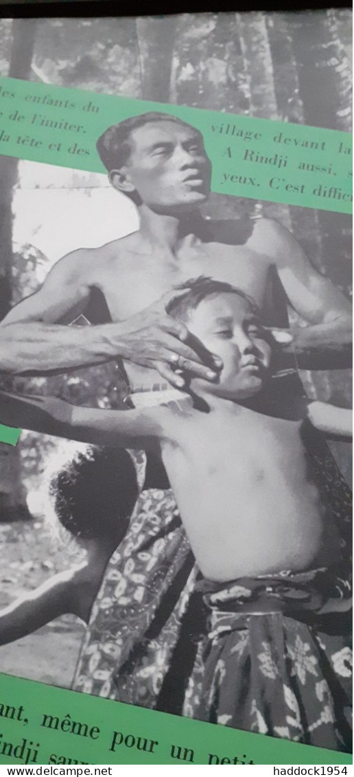 RIKKA La Petite Balinaise DOMINIQUE DARBOIS Nathan 1956 - Autres & Non Classés