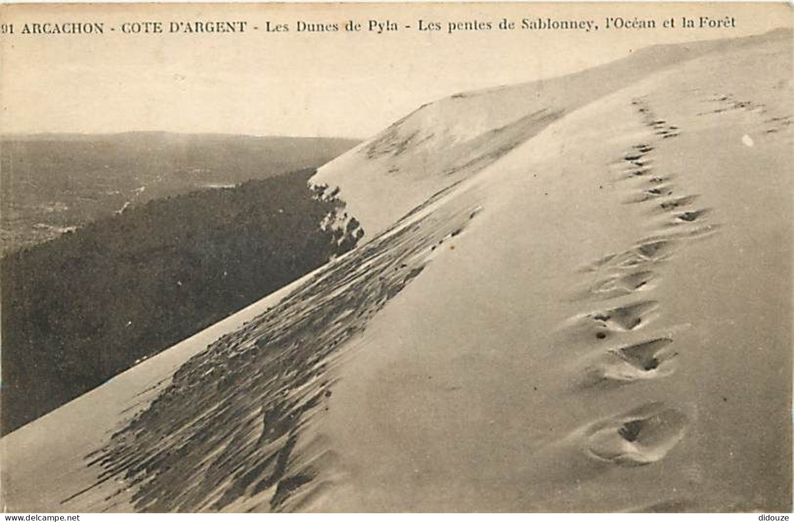 33 - Arcachon - Les Dunes Du Pyla - Les Pentes De Sablonney , L'Océan Et La Foret - CPA - Voir Scans Recto-Verso - Arcachon