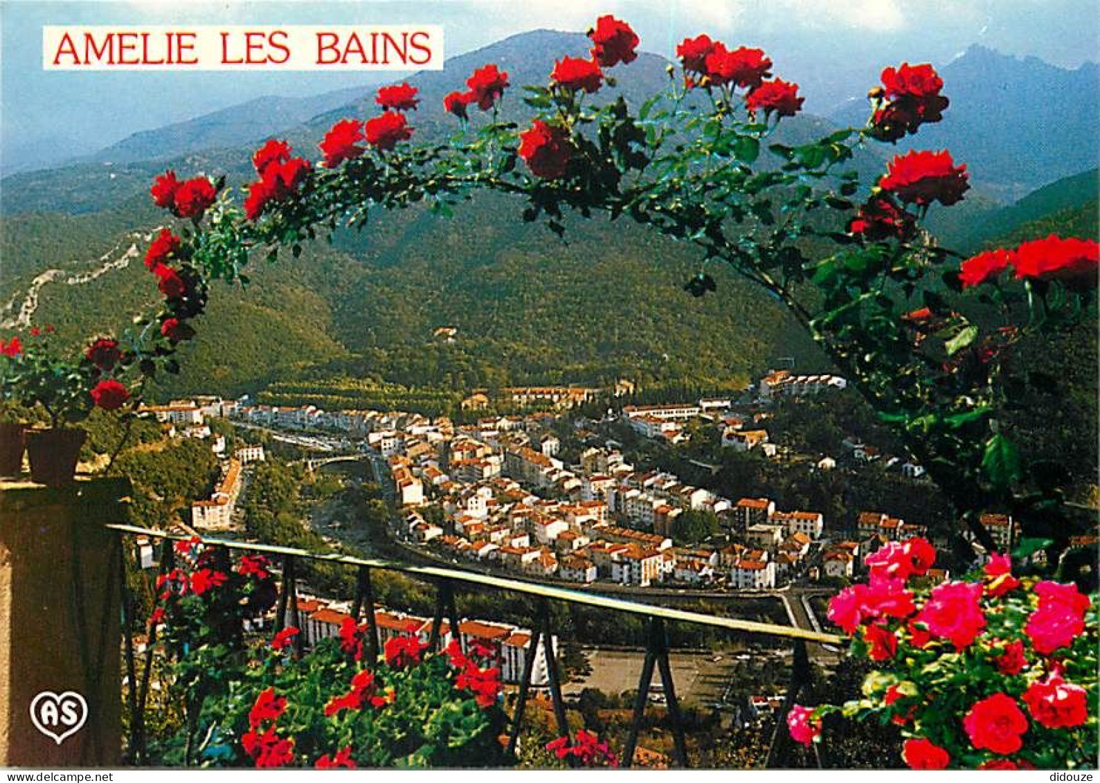 66 - Amélie Les Bains - Vue Générale - Fleurs - CPM - Voir Scans Recto-Verso - Autres & Non Classés
