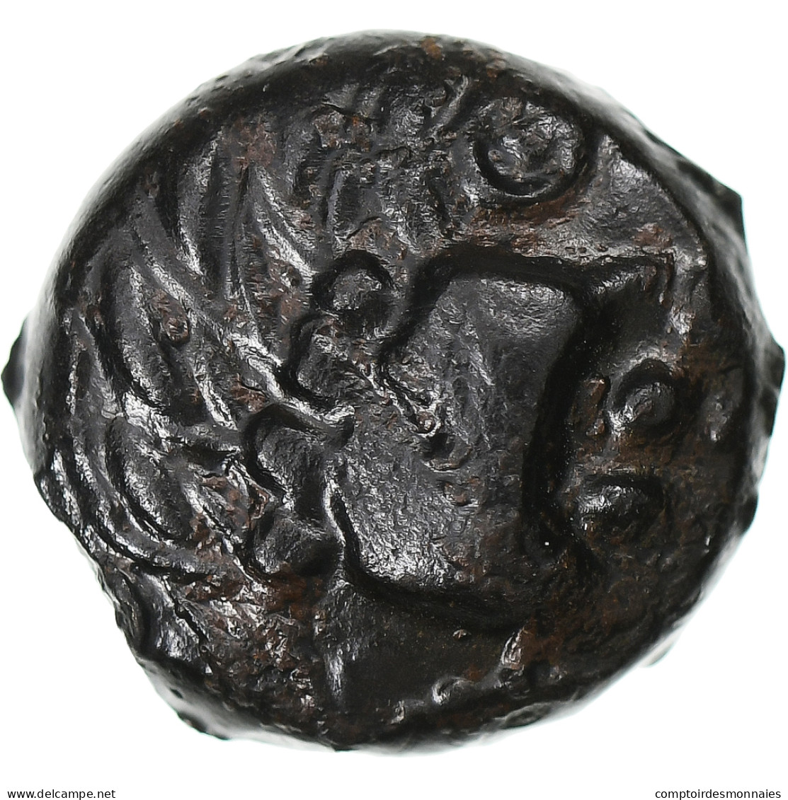 Sénons, Bronze YLLYCCI à L'oiseau, 1st Century BC, Bronze, TTB - Celtic
